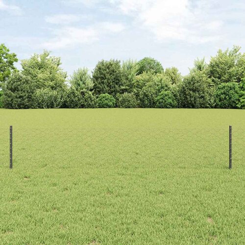  Heksagonalna ograda s stubom 10 x 0,4 m Čelik premazan PVC-om Cijene