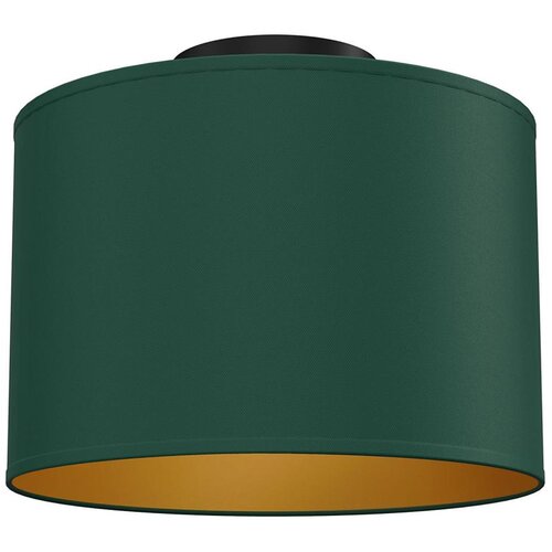  stropno svetlo arden 1xE27/15W/230V, prečnika 25 cm, zeleno Cene