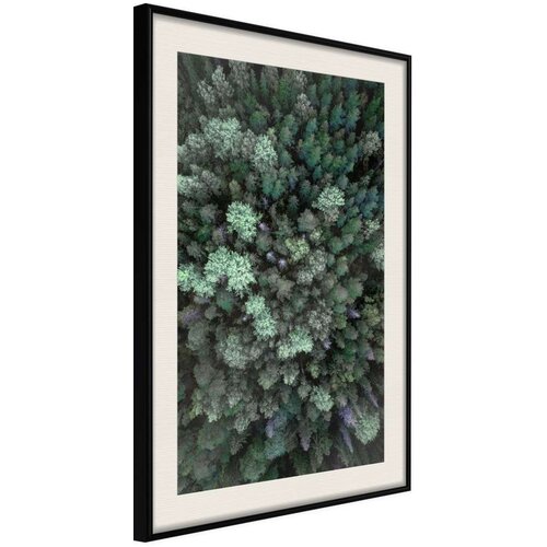  Poster - World from High Above 20x30 Slike