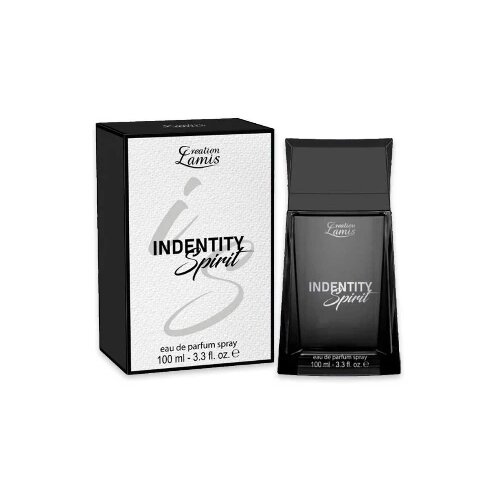 Lamis Toaletna voda za mu&scaron;karce Identity Spirit, EDT,100 ml Cene
