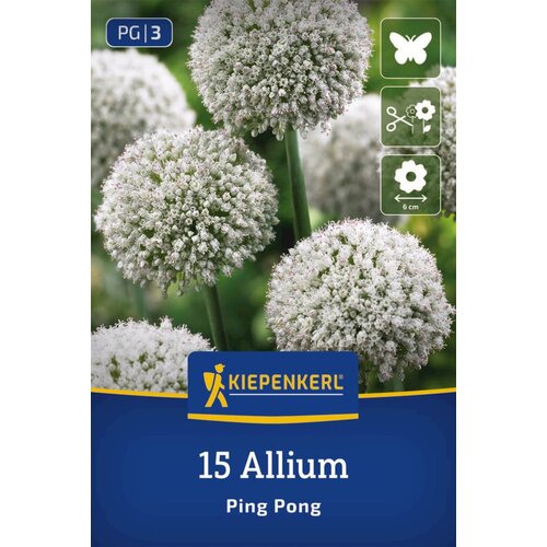 KIEPENKERL Okrasni luk &amp;quot;Ping Pong&amp;quot; - 15 k. Slike