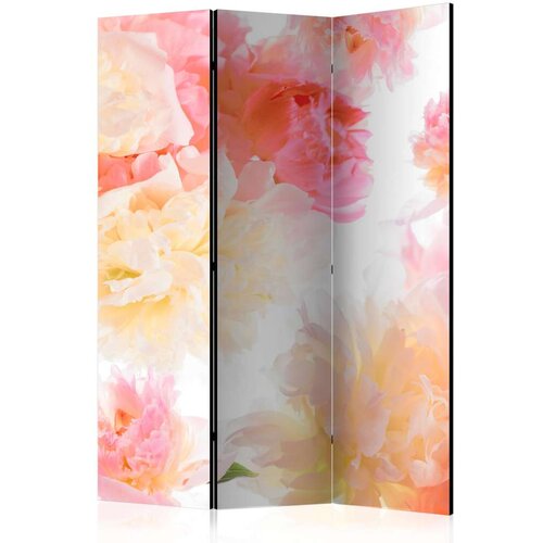  Paravan u 3 dijela - Pastel peonies [Room Dividers] 135x172 Slike