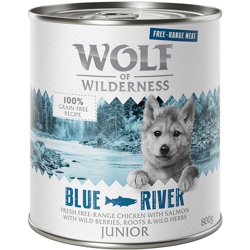 Wolf of Wilderness Varčno pakiranje Junior "Free-Range Meat" 24 x 800 g - Blue River - piščanec iz proste reje & losos Cene