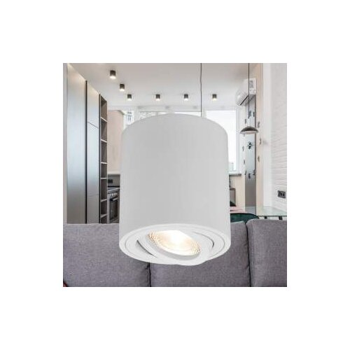 Braytron ROZETNA GAMA 8011 RND WHT G10 BH04-30300 Cijene