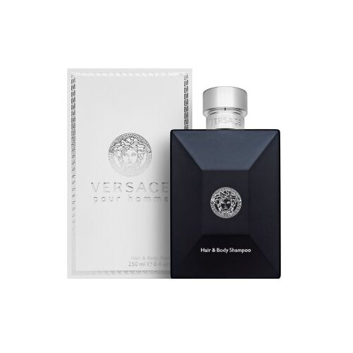Versace Pour Homme Dylan Blue parfumiran gel za prhanje 250 ml za mo&amp;scaron;ke Slike