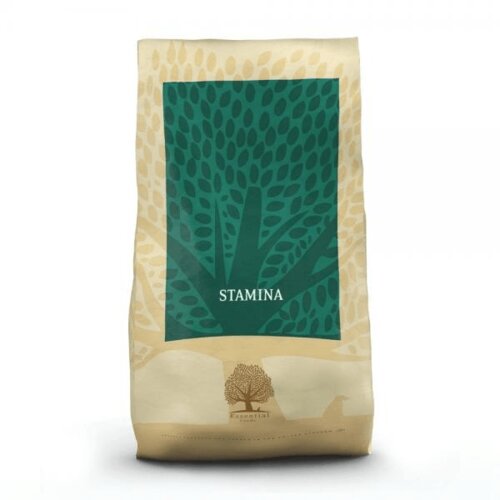 Essential Foods essential stamina - 2.5 kg Slike