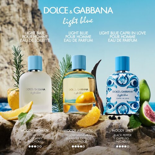 Dolce &amp;amp; Gabbana Light Blue Pour Homme Eau de Parfum parfumska voda za mo&amp;scaron;ke 200 ml Slike
