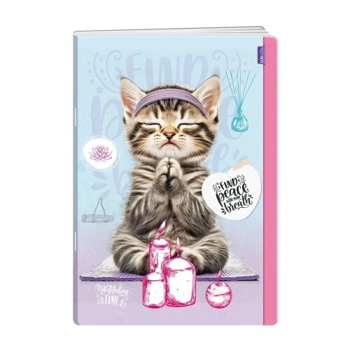  Premium sveska 60 lista fuzzy pets - odaberite motiv a4 karo maca ( B2C05444 ) Cene