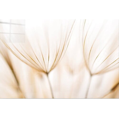 Wallity Steklena slika 100x70 cm Fluff – Wallity Cene