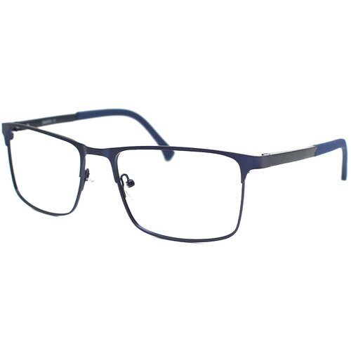 Sunglasses NAOČARE SA DIOPTRIJOM D+2.0 Cene
