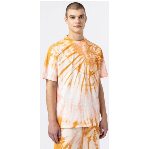 Dickies Majice & Polo majice Seatac tee ss Rumena Cene