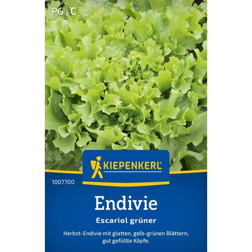 KIEPENKERL Endivija "Breedblad Volhart Winter" - 1 pkt. Cene