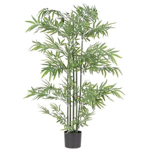  BAMBUS 150CM U SAKSIJI PVC BIZZOTTO Cene