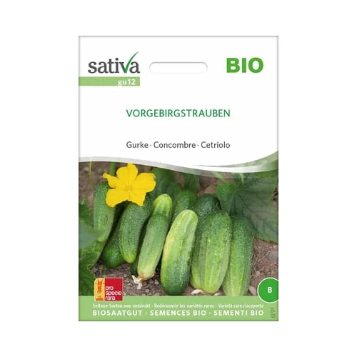 Sativa Bio kumara "Vorgebirgstrauben"