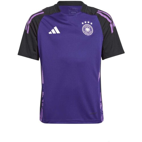 Adidas majica za dečake dfb tr jsy y IP8244 Slike