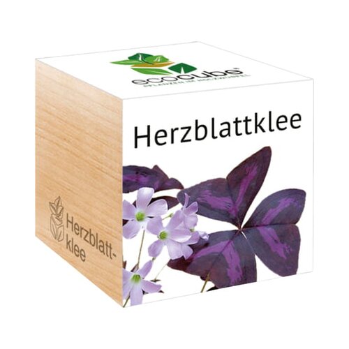 Feel Green ecocube "srce detelje" Cene