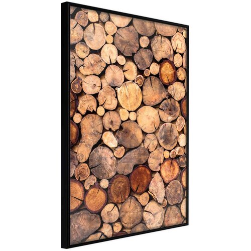  Poster - Log Pile 20x30 Slike