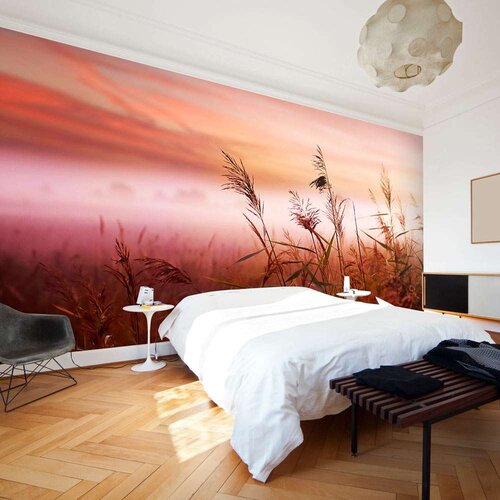  Tapeta - Morning meadow 450x270 Slike