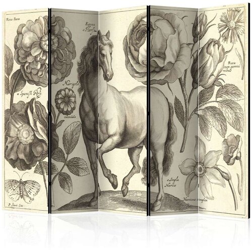  Paravan u 5 dijelova - Horse II [Room Dividers] 225x172 Cijene