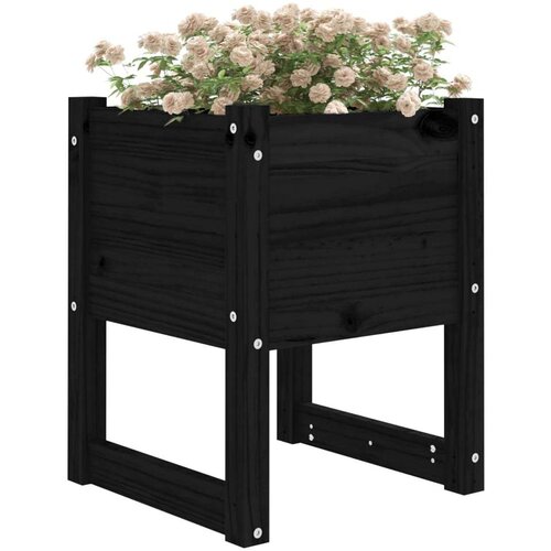 VidaXL Sadilica crna 40 x 40 x 52,5 cm od masivne borovine Slike
