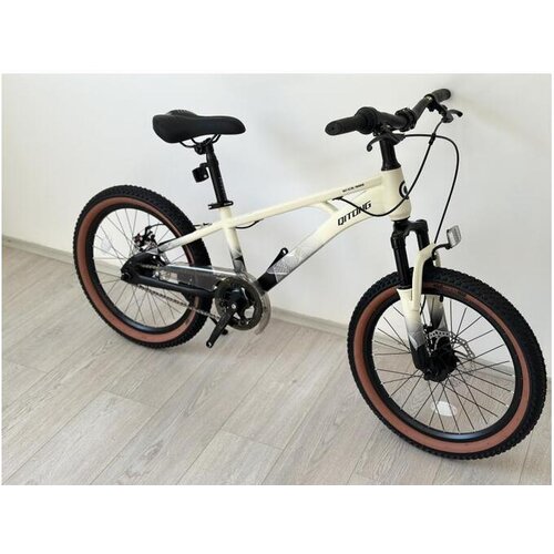 Winner Bike dečiji bicikl 20"QL BCK0801 Cene