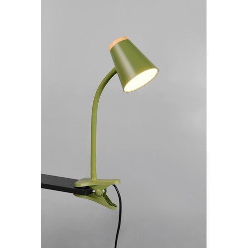REALITY Zelena dječja stolna lampa Pongo &amp;ndash; Slike