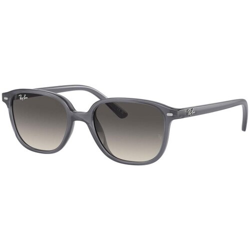 Ray-Ban Junior Junior Leonard RJ9093S 713411 - ONE SIZE (45) Cijene