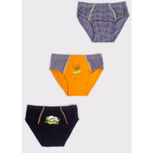 Yoclub Kids&amp;#039;s 3Pack Boys&amp;#039; Briefs BMC-0034C-AA20-001 Slike