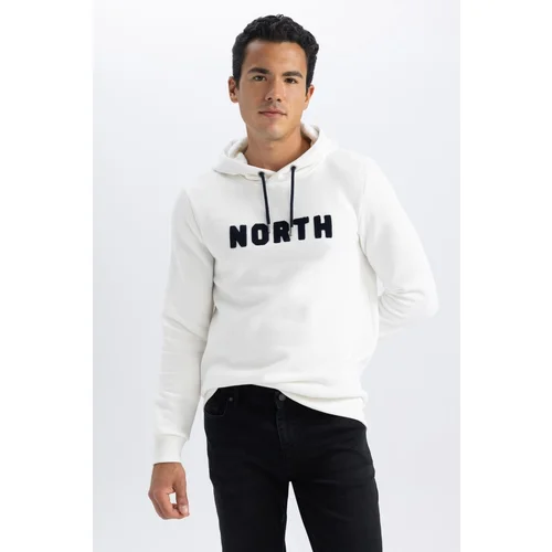 Defacto Regular Fit Hooded Sweatshirt