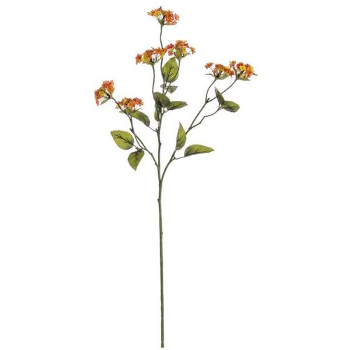 Dekorativna GRANA LANTANA 66CM PVC BIZZOTTO Slike