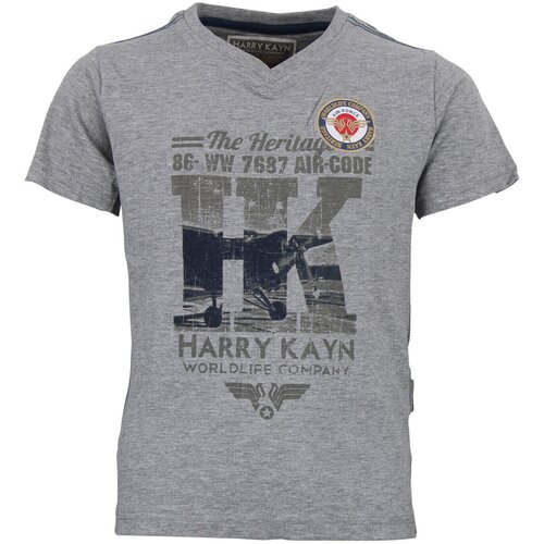 Hrk Majice s kratkimi rokavi T-shirt garcon ECEPALAN Siva Cene