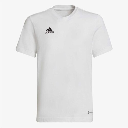 Adidas Ent22 tee y Cene