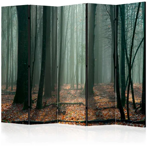  Paravan u 5 dijelova - Witches' forest II [Room Dividers] 225x172