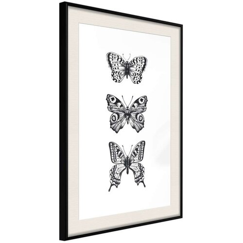  Poster - Butterfly Collection III 30x45 Slike