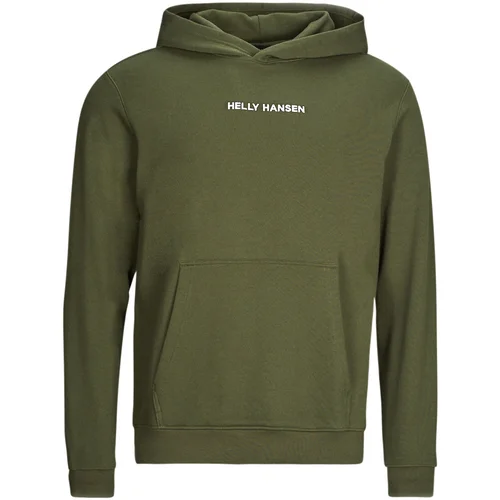 Helly Hansen CORE GRAPHIC SWEAT HOODIE Kaki