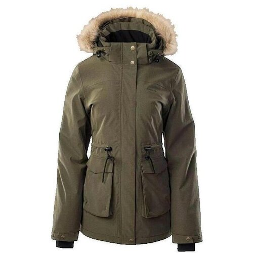Iguana Parke Parka Nemin W Zelena Slike