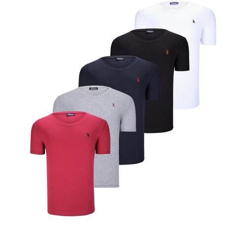 Dewberry QUINTUPLE SET T8568 V-NECK MENS T-SHIRT-BLACK-WHITE-NAVY BLUE-GREY-BURGUNDY Slike
