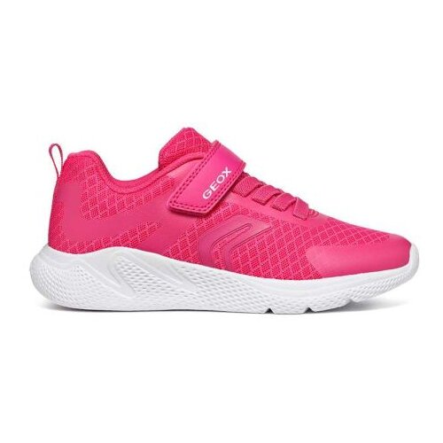 Geox J sprintye girl Cene