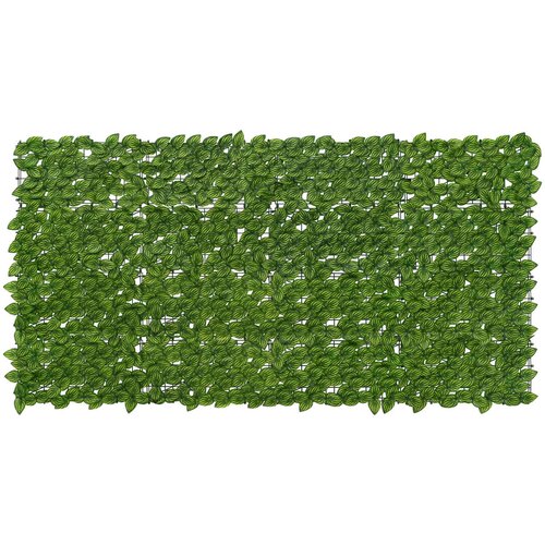  Zaslon za balkon s li&scaron;ćem Zelena i žuta 200 x 100 cm Cijene