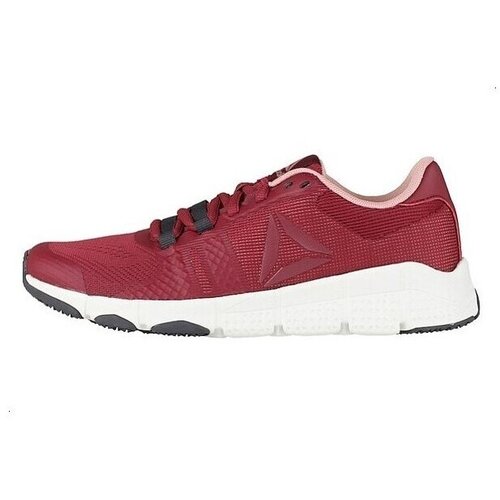 Reebok Nizke superge Trainflex 2 pisana Cene