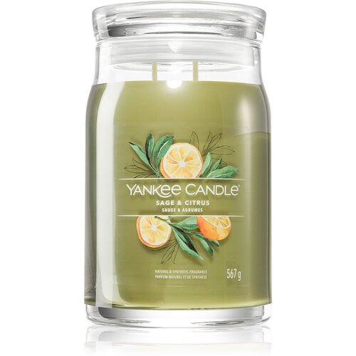 Yankee Candle Sage & Citrus dišeča sveča Signature 567 g Cene