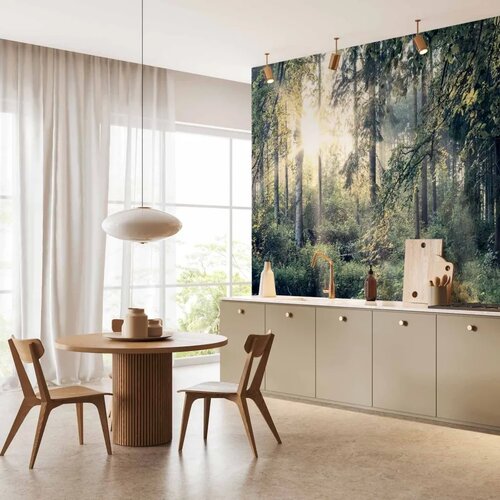  Foto tapeta - Tales of a Forest 500x350 Vodootporna Slike