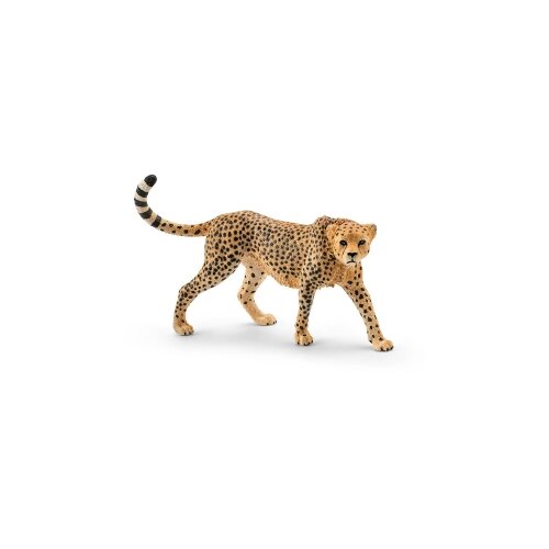 Gepard zenka Cene