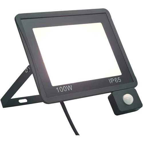  LED reflektor sa senzorom 100 W hladni bijeli Cijene