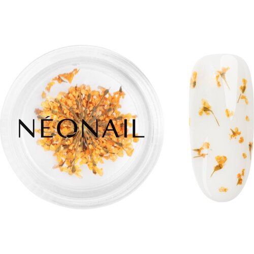 NeoNail Dried Flowers sušen cvet za nohte odtenek Orange 1 kos Cene