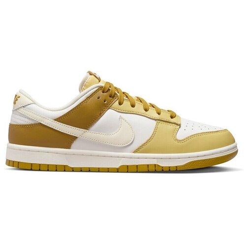 Nike Dunk Low Retro sarena Slike