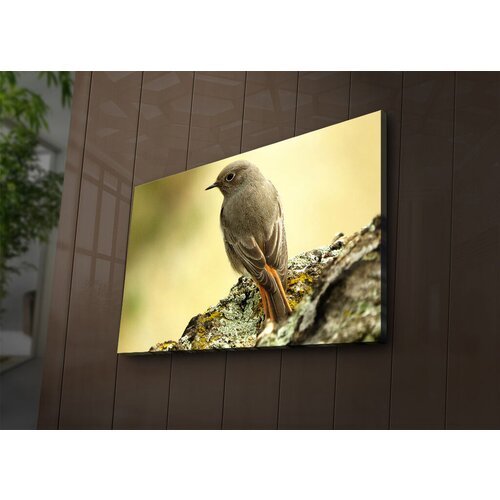 Wallity Slika sa LED osvetljenjem 4570İACT-65, 45x70 cm Cene