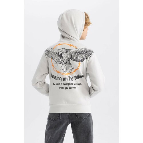 Defacto Boy Printed Hooded Thick Sweatshirt Slike