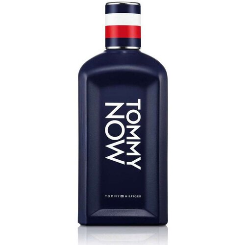 Parfem za muškarce Tommy Hilfiger Tommy Now (100 ml) Cijene