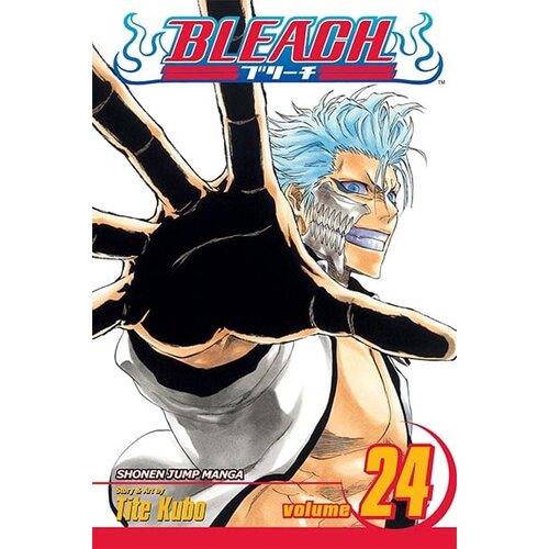 VIZ Media Tite Kubo - Bleach, Vol. 24: Immanent God Blues Cene